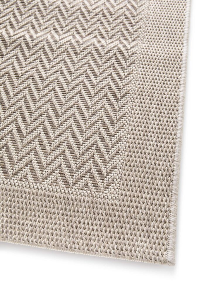 46213-551.160230.1_CP001 (1)