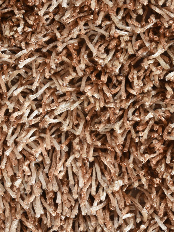 Shaggy rustik beige 3